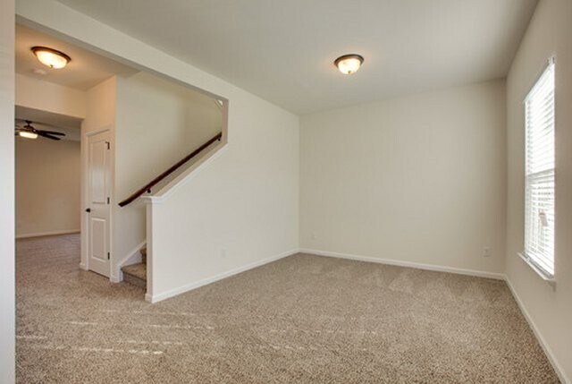 Primary Photo - Beautiful 4 Bed 2.5 Bath Home In Spring Hill