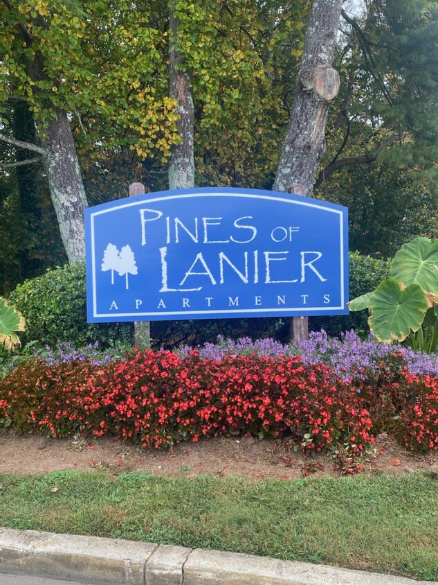 Primary Photo - Pines of Lanier Apartments