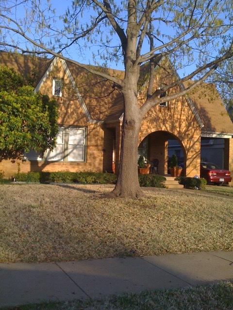 This is the main house. The Rear Apartment, For Rent, is directly behind. - 3229 Odessa Ave