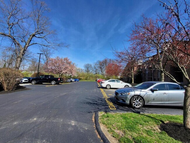 Foto del edificio - 7645 Montgomery Rd, Unit 3