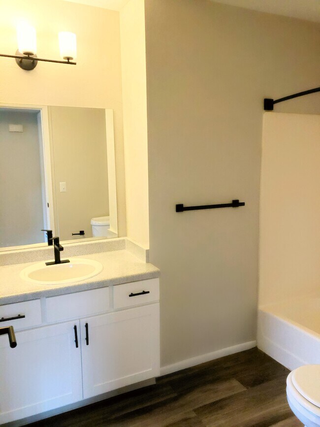 Building Photo - Springs of Country Woods