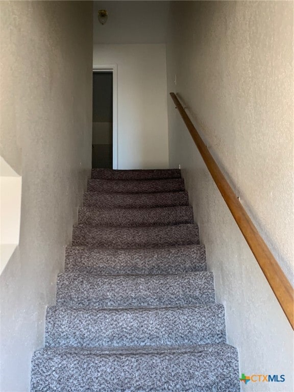 Building Photo - 2807 Vernice Loop