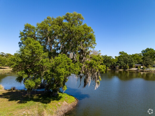 Large oaks trees surround Lake Jeanette.