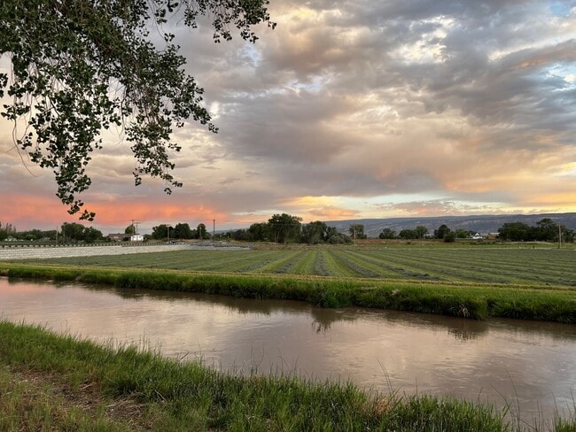 Building Photo - 911-924 24 Rd