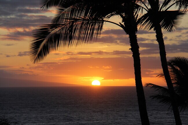 Foto del edificio - 2777 S Kihei Rd