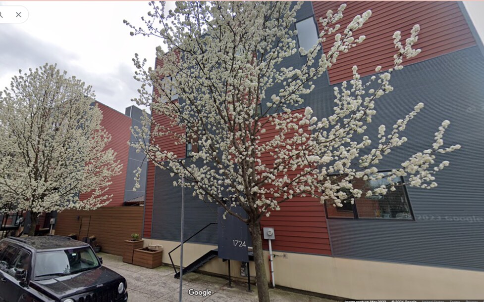 Primary Photo - 1724 TULIP ST
