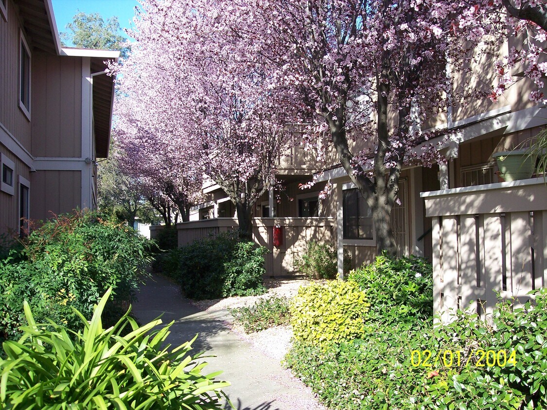 Primary Photo - 2124 Santa Ana Dr