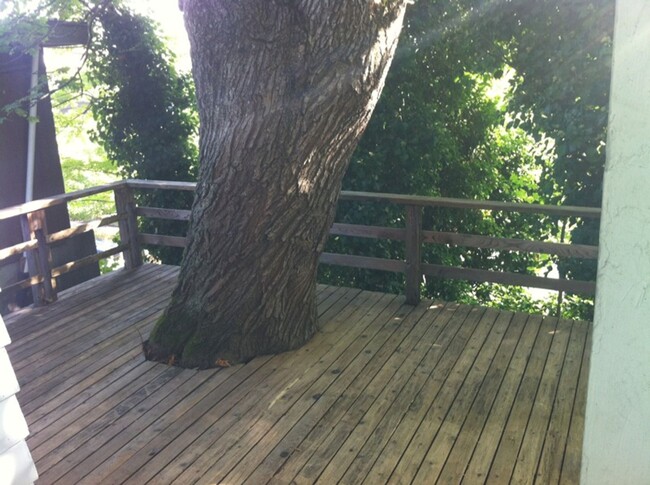 Building Photo - West Seattle with large deck in the trees!