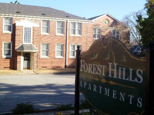 Primary Photo - Forest Hills