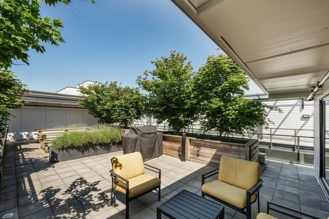 Building Photo - 388 Kaslo East Village Apartments