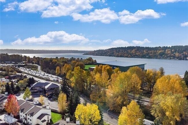 Foto del edificio - 1 Bedroom Near Lake Washington With Pool!
