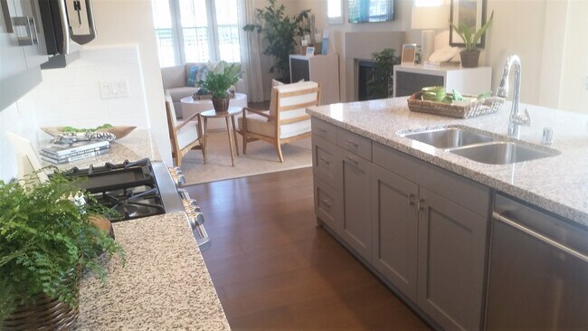 kitchen - 4316 Pacifica Way