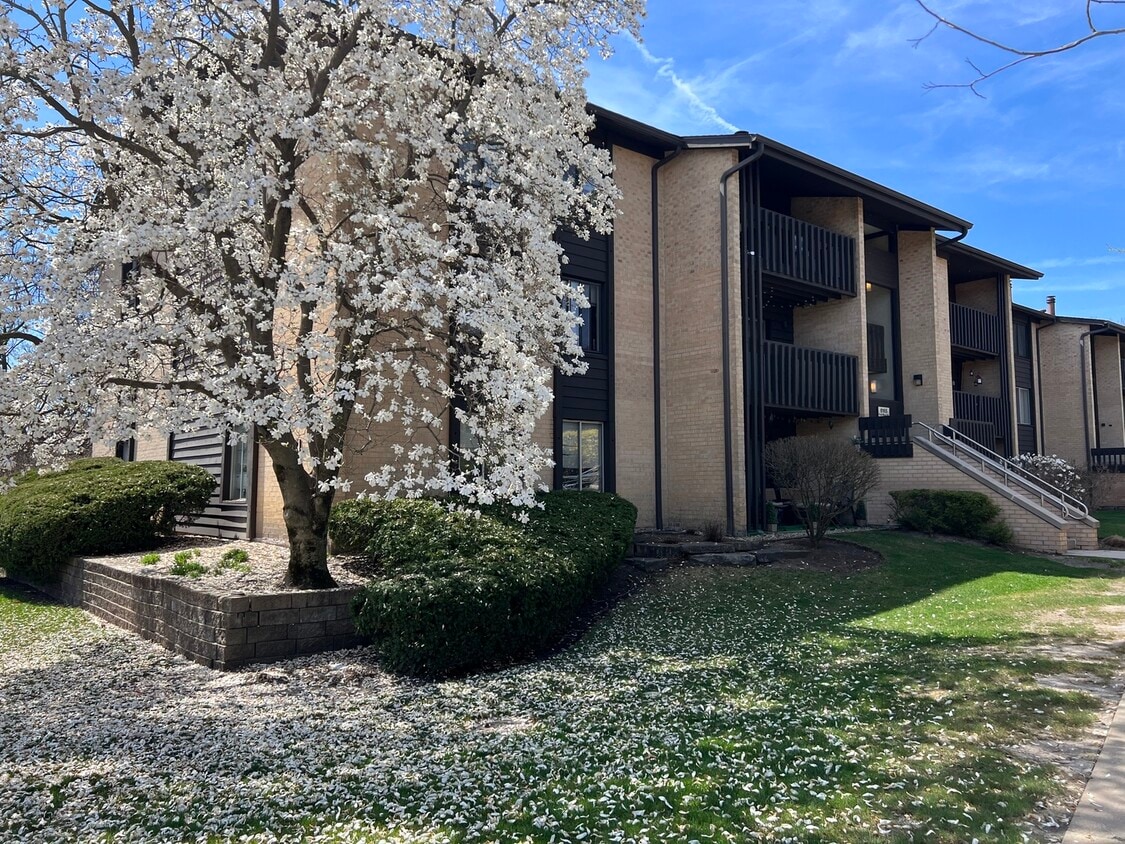 6165 Knoll Wood Ct Unit 102, Willowbrook, IL 60527 Condo for Rent in Willowbrook, IL