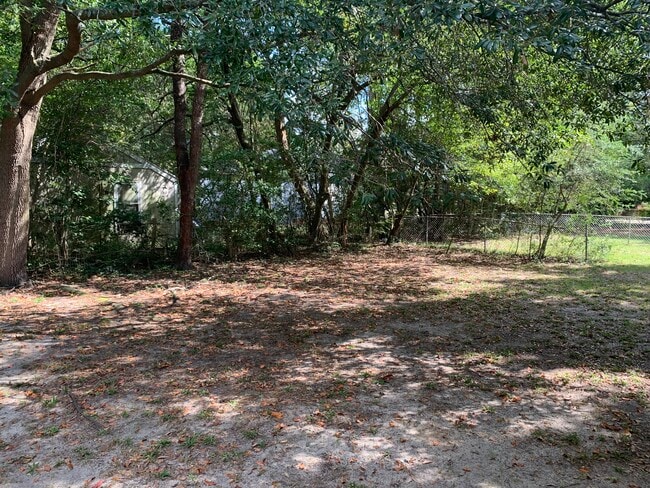 Rear/Side Yard from Screened Porch - 111 Cannon Dr