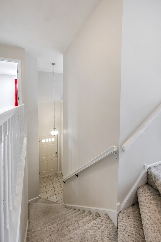 Foto del edificio - 164 White Branch Ct