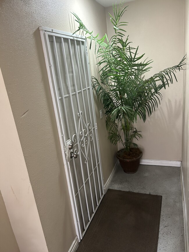 Building Photo - 521 Island Breeze Ln