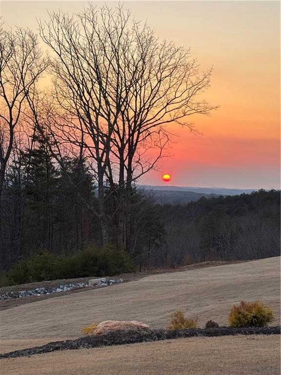 Building Photo - 225 Laurel Vista Dr