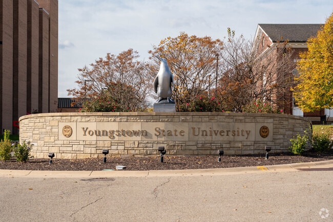 Residents of Boardman discover excellence at Youngstown State University.