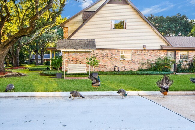 Foto del edificio - 7310 Ridge Oak Dr