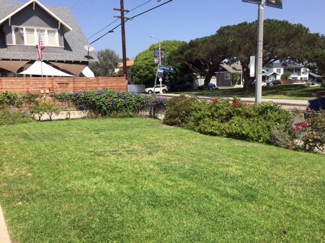 Foto del edificio - 46 Clubhouse Ave