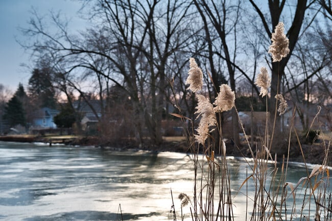 Spend a few moments besides the Ecorse River at Council Park.