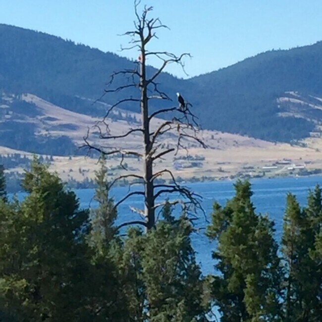 Foto del edificio - Lake Front Property with Orchard--Desired lease October 1st, 2026 thru May 31st 2027 (some flexib...