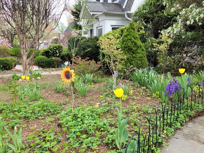 Foto del edificio - 4414 Lowell St NW