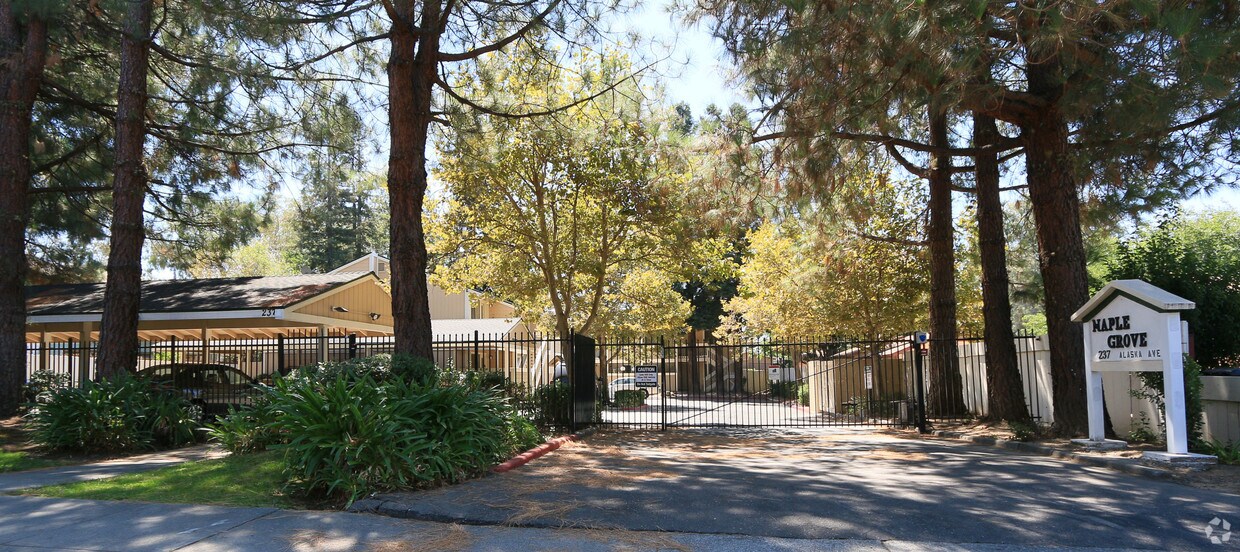 Primary Photo - Maple Grove Apartments