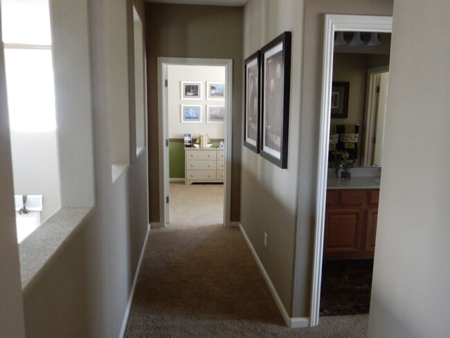 Building Photo - 649 Ringneck Ct