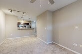 This one-bedroom, one-bathroom unit at 2345 Peachwood Cir NE in Atlanta, GA offers a well-designed, single-floor layout that maximizes every square foot. The open-concept living and kitchen area forms the heart of the home, where warm neutral tones, plush carpet, and a ceiling fan create a comfortable and inviting atmosphere. Large windows and a glass-panel door flood the living room with natural light while offering views of surrounding greenery.

The kitchen is thoughtfully equipped with dark espresso cabinetry, granite countertops, stainless steel appliances including a refrigerator, electric range, microwave, and dishwasher, and a peninsula that opens to the living area. Track and pendant lighting add both function and style. Tile flooring runs throughout the kitchen for easy maintenance.

The bedroom is generously sized, featuring plush carpet, a ceiling fan, and a window with views of lush trees. A spacious walk-in closet with multi-tier wire shelving provides ample storage. The bathroom is finished with tile flooring, a tub-shower combination with white tile surround, a granite-topped vanity, and dark cabinetry that mirrors the kitchen's design. A hallway connects the spaces cohesively, completing this efficient and well-appointed home.