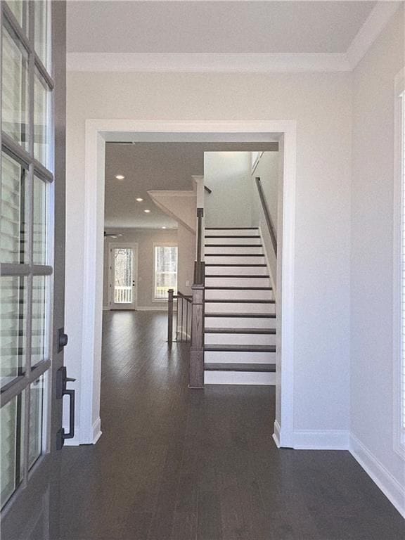 Building Photo - 163 Basil St