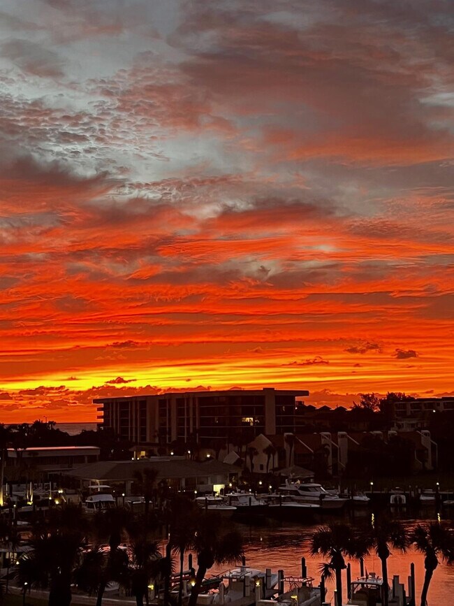 Building Photo - 2701 N Ocean Blvd