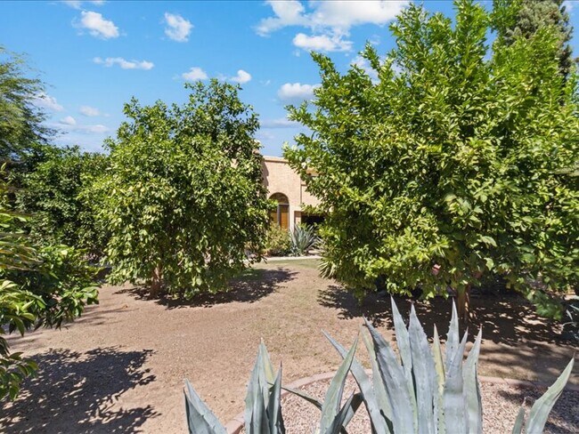 Foto del edificio - 10563 E Carol Ave