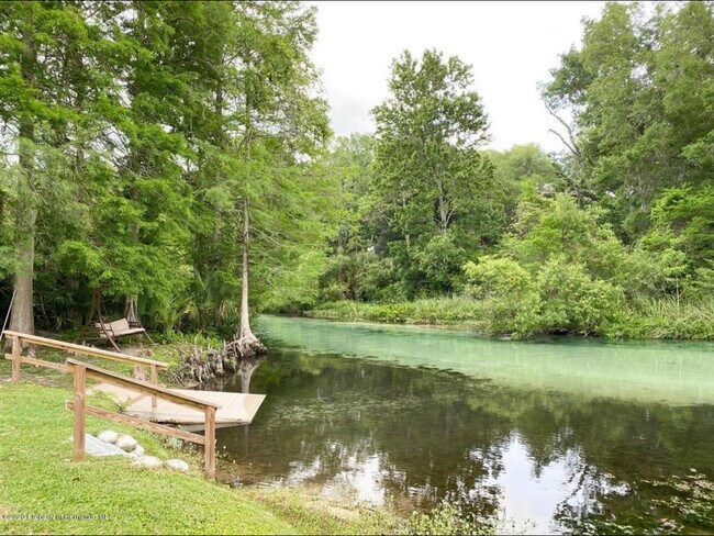 A Weeki Wachee River! - 6661 River Run Blvd