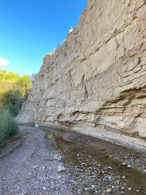 Foto del edificio - 28 NM-503