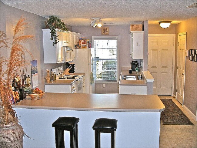 cocina - 1021 Old Marks Dr