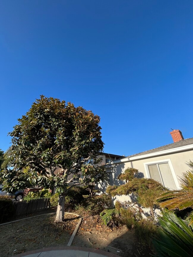 Building Photo - 3860 Inglewood Blvd