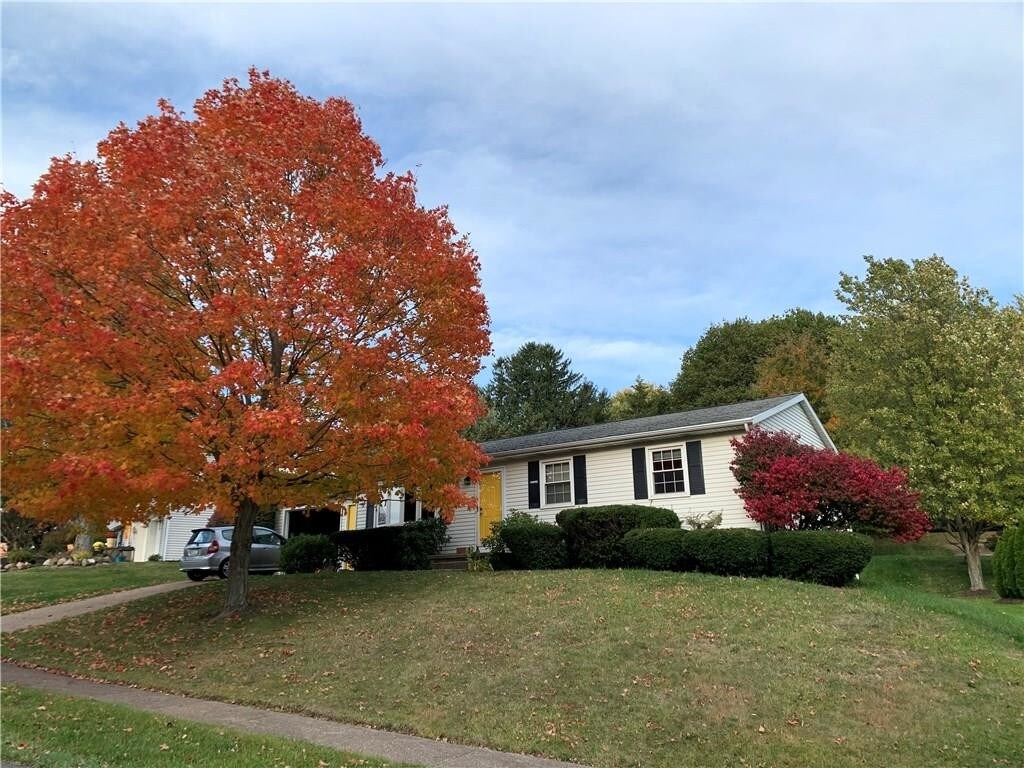 Primary Photo - 5951 Pinecrest Dr