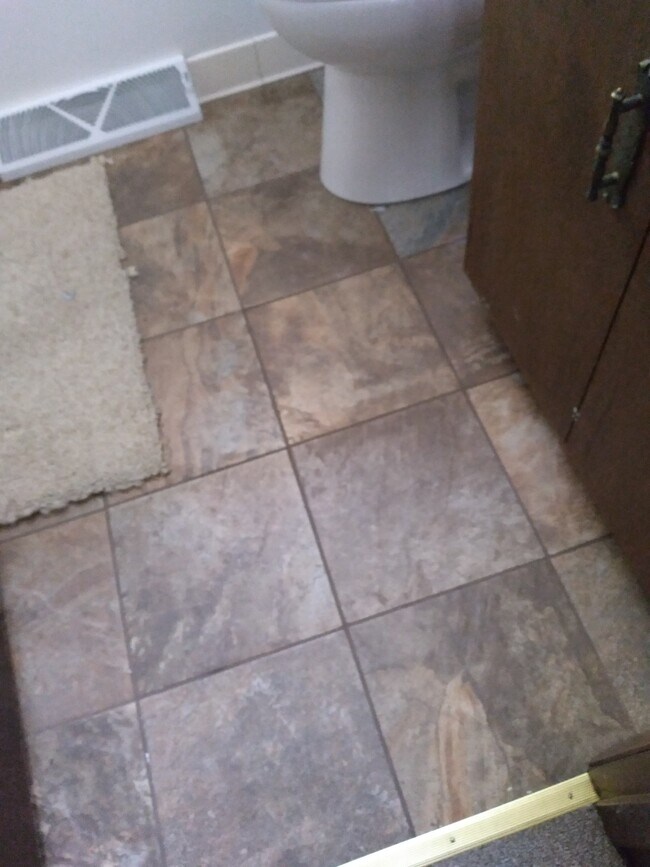 Upstairs bathroom - 419 Spivak Dr