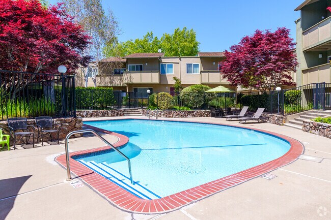 Piscina primaria - Town House Plaza