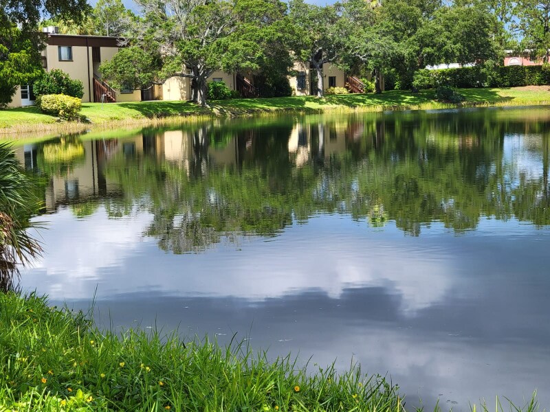 Photo - 621 N Keene Rd (Clearwater, FL)