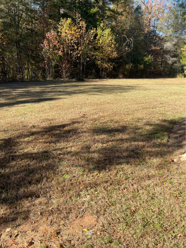 Primary Photo - 9151 Sadlers Ridge Rd