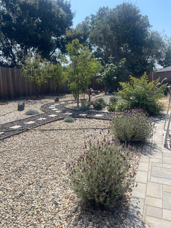 Building Photo - 1460 Marelia Ct