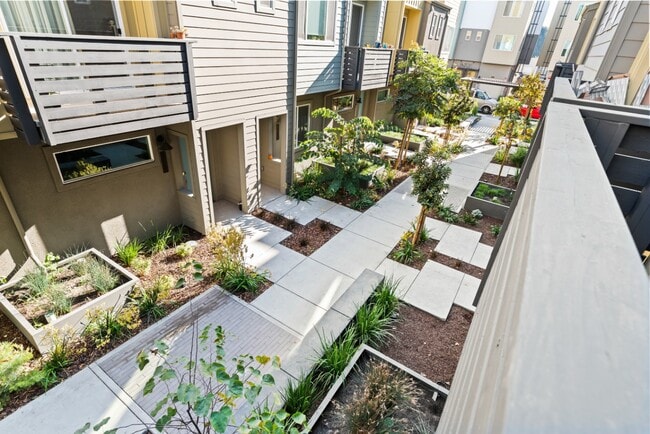 Jardín - 166 Uptown Cir