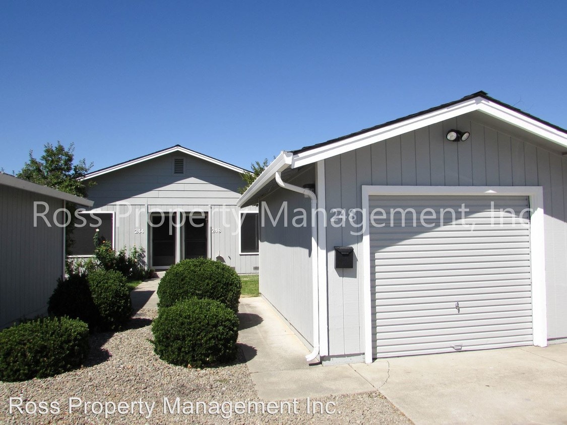 Primary Photo - 248 McLeod St