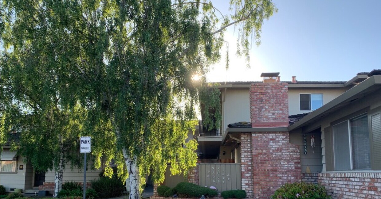 Primary Photo - Paula Court Apartments