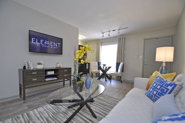 The Element at Cedar Bluff - Element at Cedar Bluff