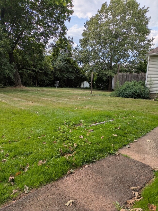 Side yard - 53 Fairview Dr