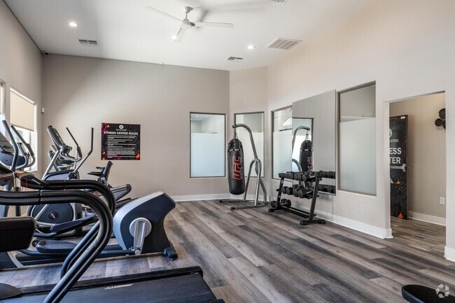 Modern Fitness Center - The Allister