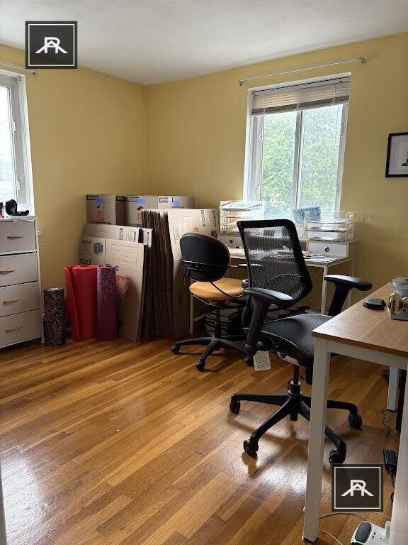 Foto principal - 2 bedroom in Brighton MA 02135